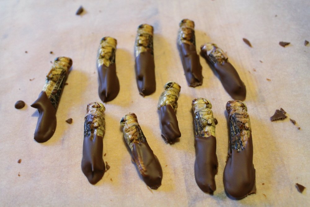 SIXTH MASS EXTINCTION: locust & chocolate snacksTINCTION: snack bar