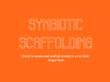 micro_micro: 2067 SYNBIOTIC SCAFFOLDING