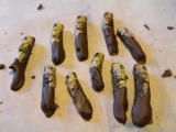 SIXTH MASS EXTINCTION: locust & chocolate snacksTINCTION: snack bar